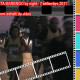 AICS: Spinetta by night