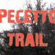 Podismo: Pecetto Trail