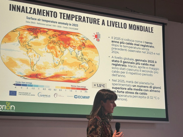 Cambiamenti climatici e accise: le grandi sfide del settore vino