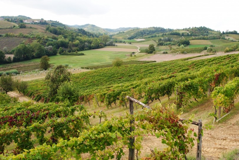 Una nuova legge quadro per l’agricoltura