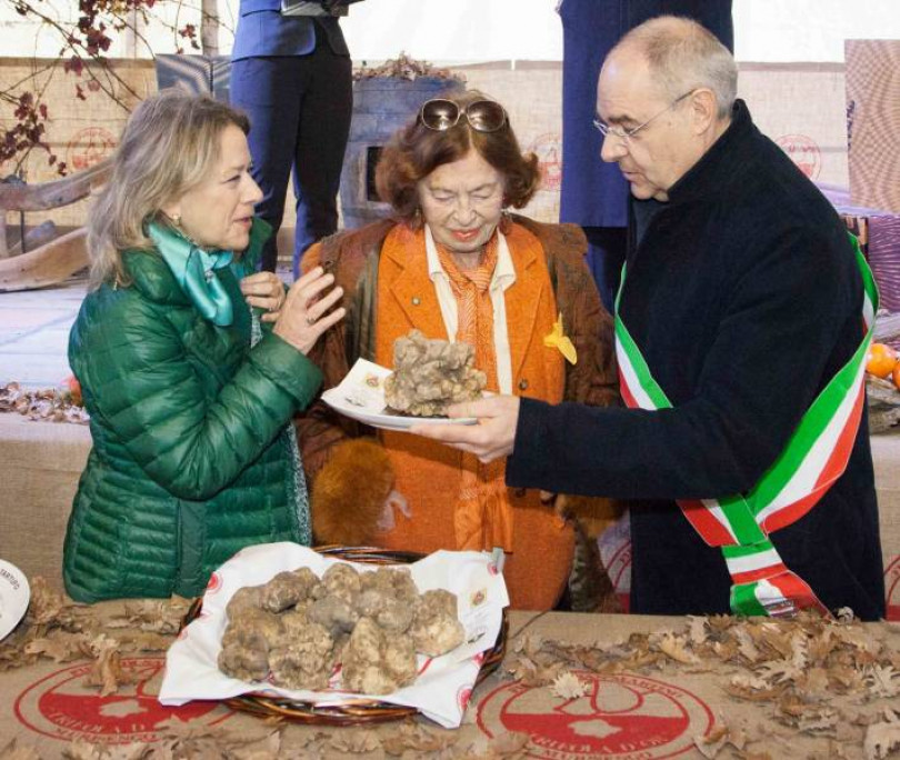 La “Trifola d’Or” a Murisengo, mercatino dell'antiquariato a Casale