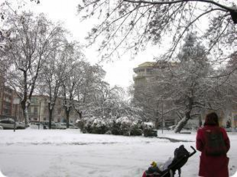 Piano anti-neve: Casale ha usato anche facebook per racciogliere in tempo reale le segnalazioni dei cittadini - La soddisfazione dell'assessore Sirchia