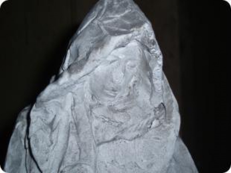 Dagli eredi Lombroso importante donazione a Casale