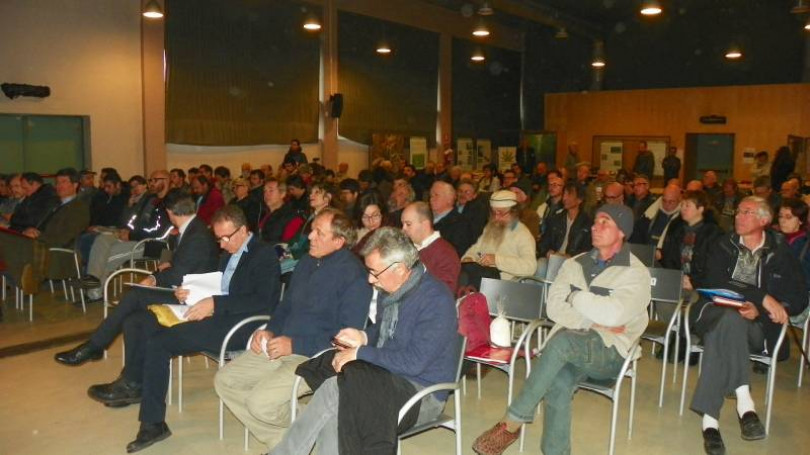 Canapa, un nuovo settore? Numerosi (e redditizi) gli impieghi: la legge è in Senato