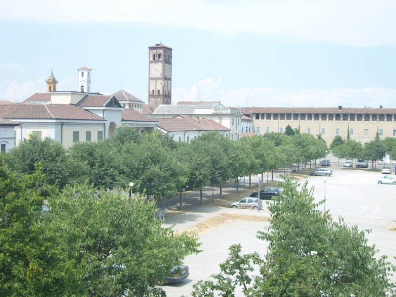 Trino, i bocconi avvelenati e gli “abbandoni estivi”