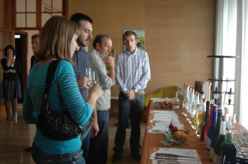 È autunno... Grapperie Aperte e Vendemmia in Arte