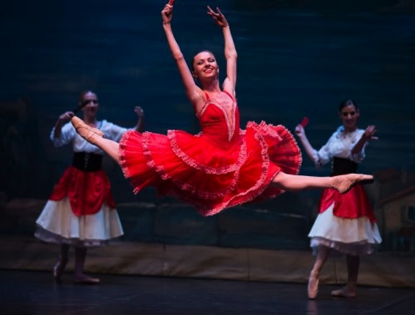 Da Don Chisciotte a Volare (per Modugno) il programma di Vignaledanza