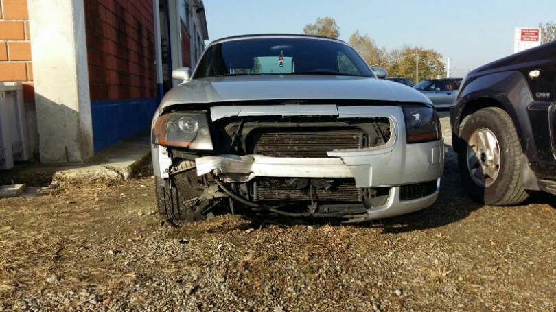 Cinghiali padroni delle strade tra incidenti e auto distrutte