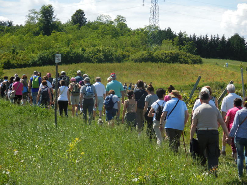 Golosaria sposa Camminare il Monferrato: a Fubine una tappa che celebra le due iniziative