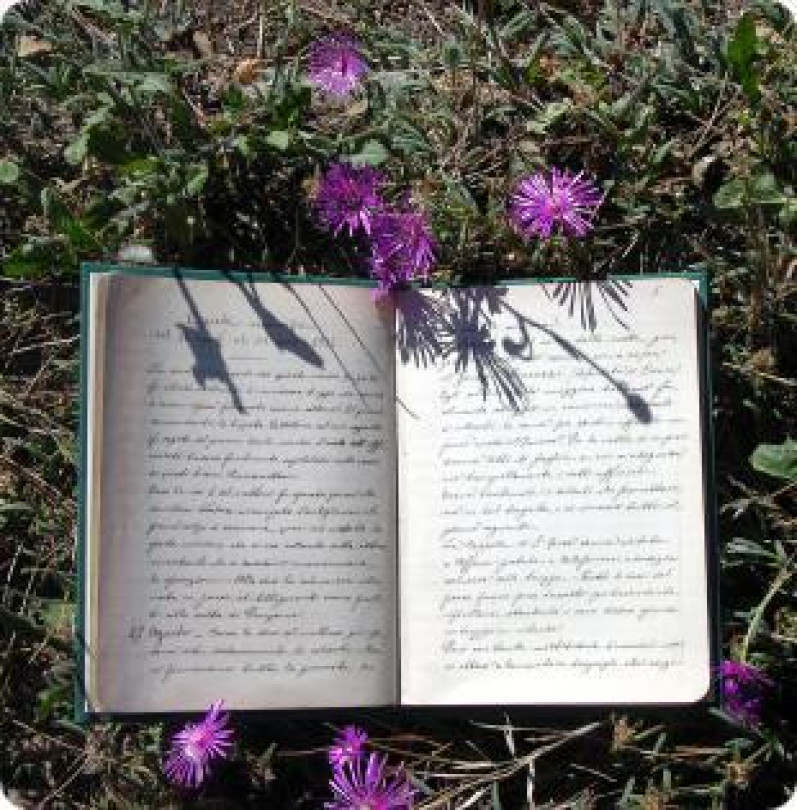 Piancerreto - Il libro diario di don Alfonso  Chistino
