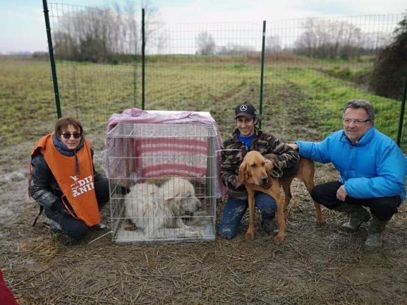 Recuperato Barnaba, il nuovo cane del sindaco di Breme