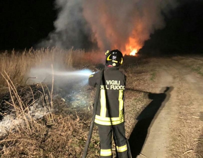 Caresana, area con residui di potatura di pini va a fuoco