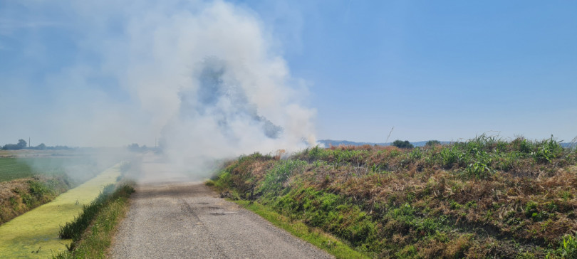 Rogo di sterpaglie tra Villanova e Balzola