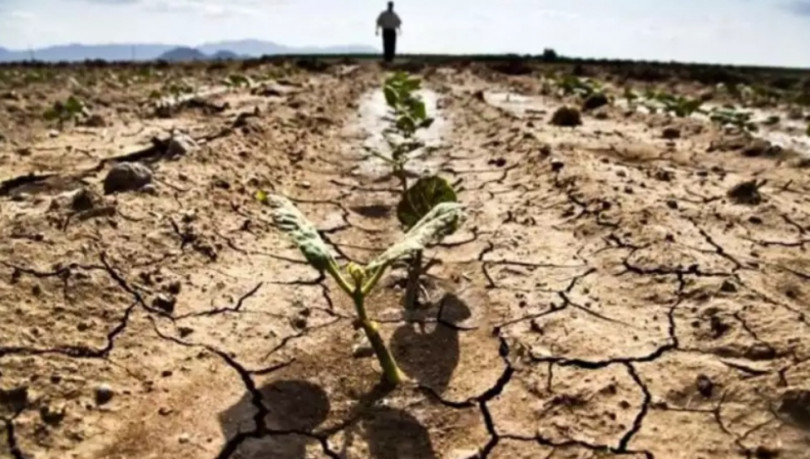 Siccità: stato di emergenza per il Piemonte