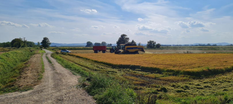 L’impegno di Coldiretti contro le minacce alle produzioni agroalimentari Made in Italy