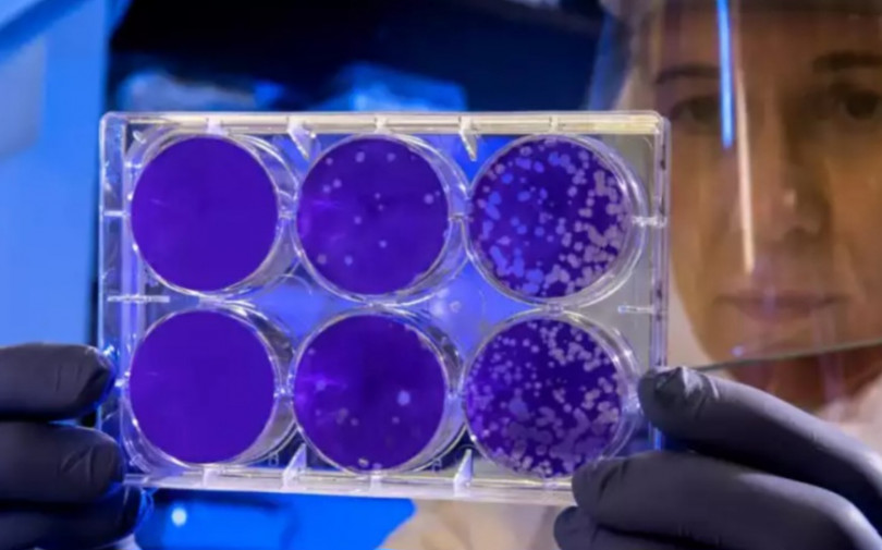 Contagi Covid: ancora in calo nell'ultima settimana dell'anno