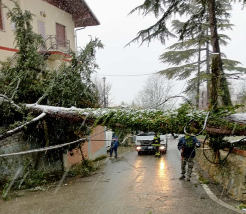 Forte vento: danni e disagi in Monferrato