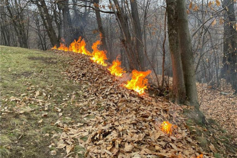 Abbruciamenti all’aperto, il Consiglio regionale approva la sperimentazione: ARPA monitorerà gli effetti