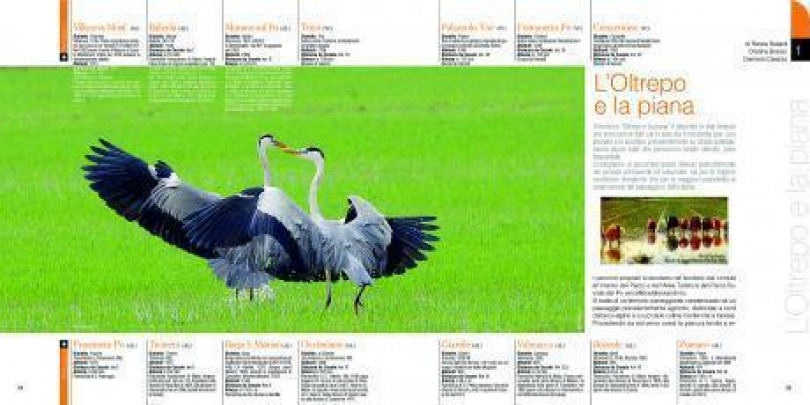 Presentazione “Belvedere il Monferrato”