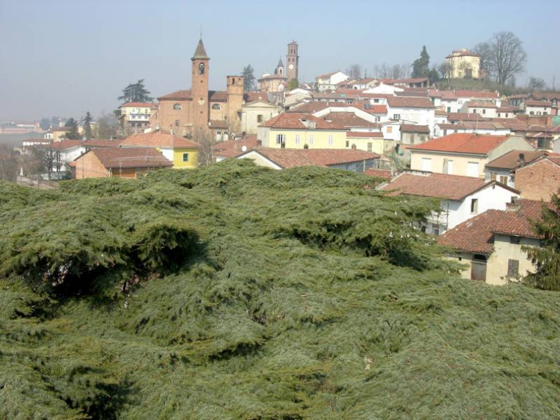 San Salvatore: annuncia il suicidio al 112, ma i Carabinieri la salvano