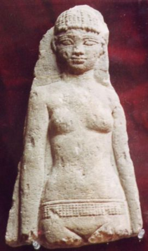 Carlo Vidua conte di Conzano, giramondo e scrittore ritrovato - Interventi di O. Musso ed Elena Cappellano