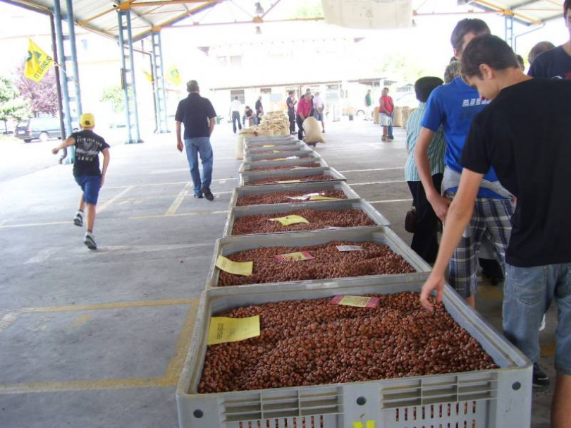 Le nocciole di Lu protagoniste del programma Geo&Geo di Rai Tre