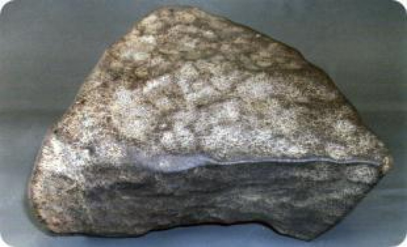 Il meteorite “comperato” dal cacciatore - L’esemplare più importante e significativo dell’intera collezione del Museo Regionale di Scienze Naturali di Torino
