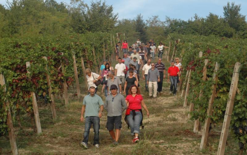 Tartufo a Odalengo Piccolo, Festival dei Vini a Vignale, mercatino dell'antiquariato a Casale