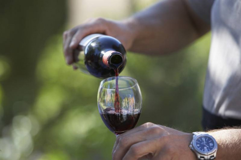 Barbera, il 2015 è un anno eccezionale: «Un vino di forte struttura, ricco di colore, adatto all’affinamento»