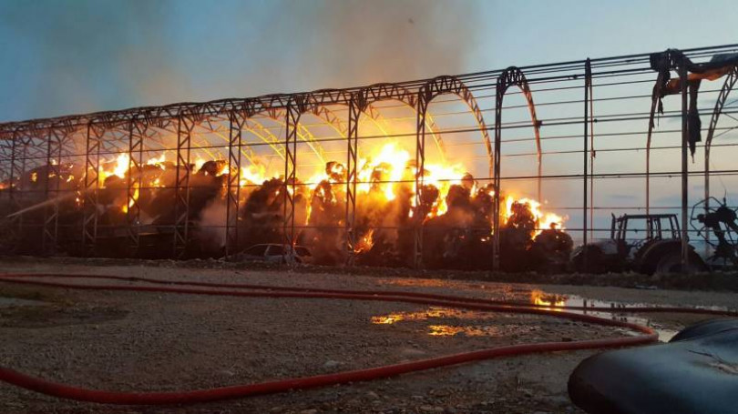 Incendio nell'azienda agricola: due giorni per domarlo. Danni per oltre 200mila euro - <b>Fotogallery</b>