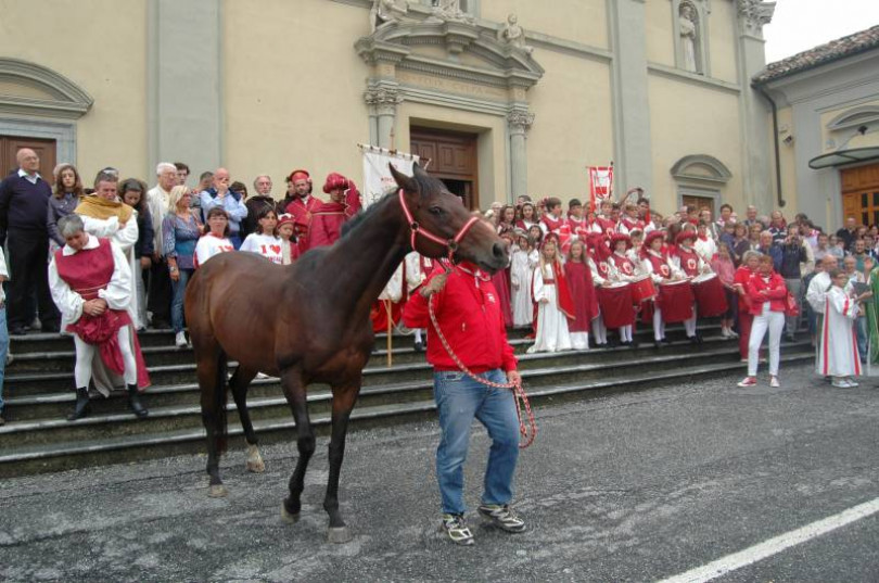 Palio amaro per Moncalvo: Dino Pes e Silvia non superano le eliminatorie