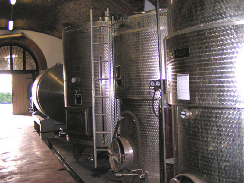 Troppa burocrazia per il mondo del vino: a farne le spese sono le cantine monferrine