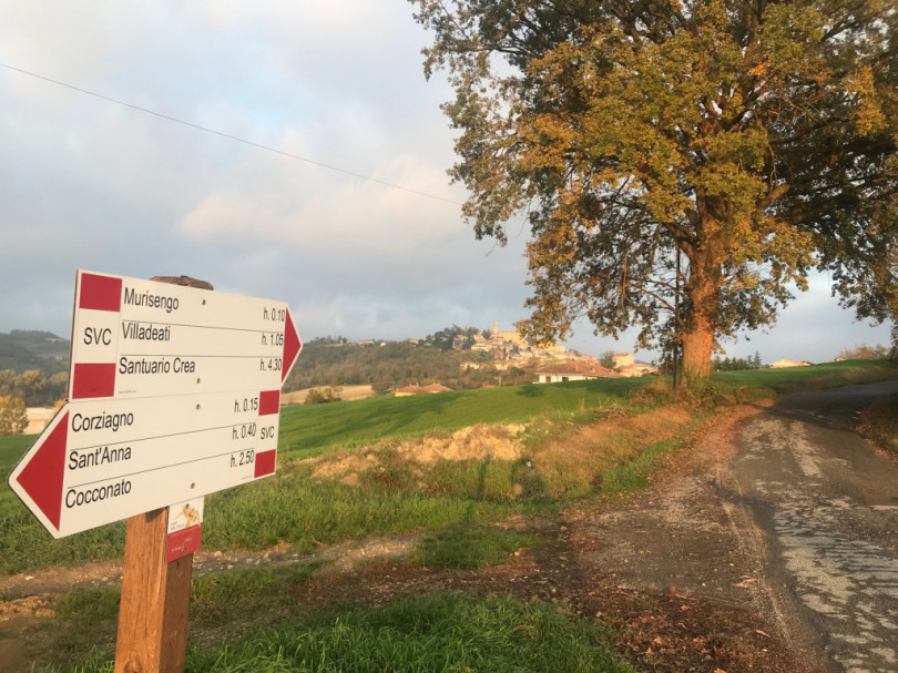 Il gruppo TargatoMurisengo è entrato nel bando Psr