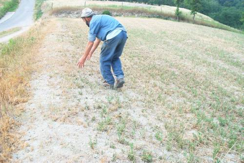 Siccità: l’agricoltura lamenta otto milioni di euro di danni