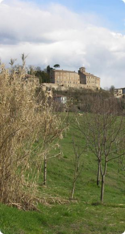 Un tempietto della Mater Iside a Montiglio scoperta una nuova iscrizione romana - Gli ex voto