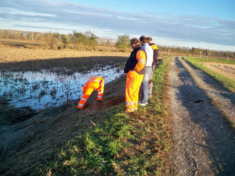 Terranova: i tassi scavano e l'argine del Sesia smotta