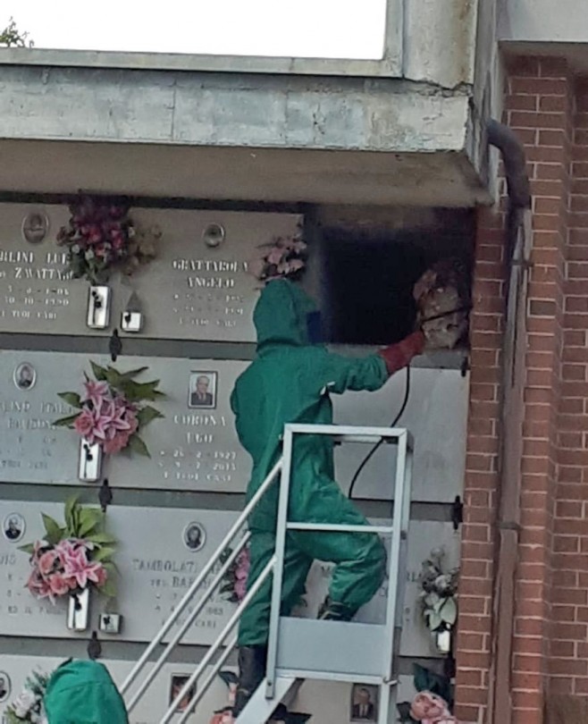 Un grosso nido di calabroni nel cimitero
