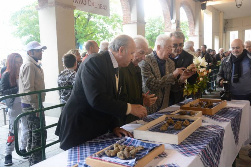 Tartufi, stagione nera condizionata dall’andamento climatico