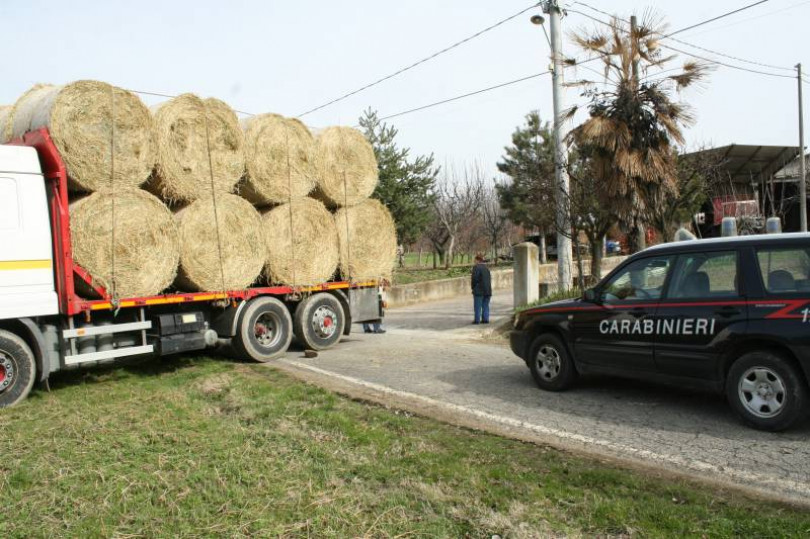 Grave camionista schiacciato contro un pilastro dalla motrice del suo autocarro