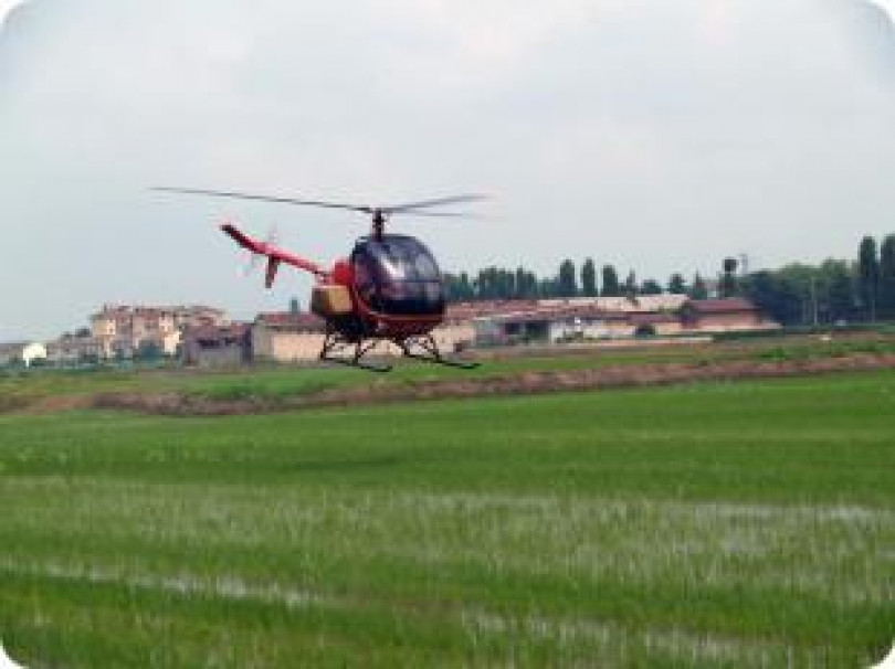 Arriva a Casale la zanzara tigre. Ordinanza del sindaco per tutelare la salute pubblica. Bene - invece - la lotta: 50% di insetti in meno rispetto agli altri anni