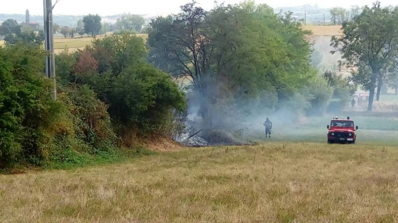 Incendio di sterpaglie a Rosignano