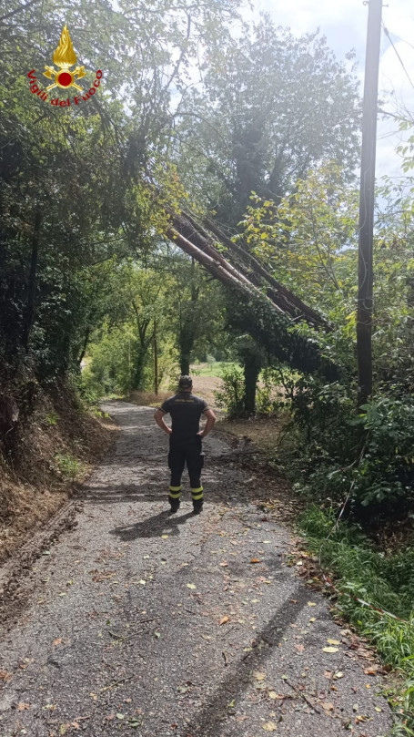 Ripristino danni maltempo: tanti interventi dei Vigili del Fuoco