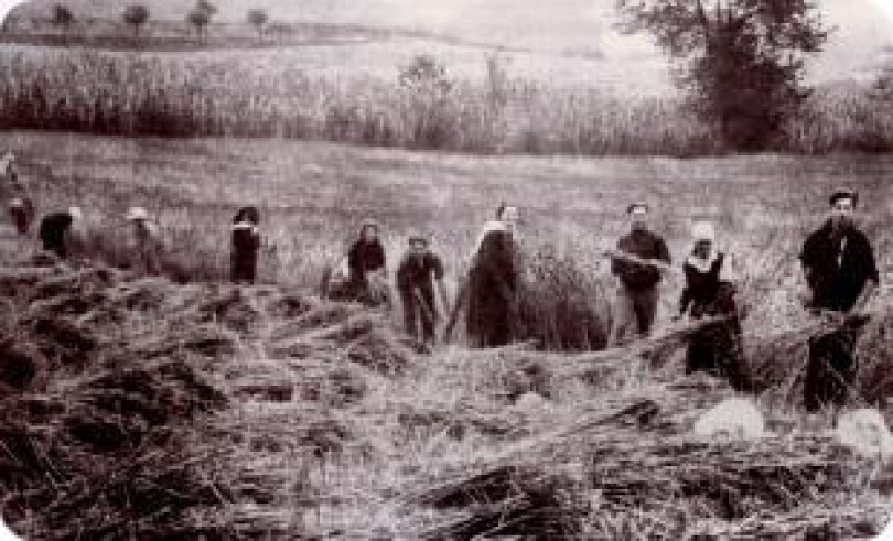 Un grande affresco di vita monferrina dell’ottocento:un libro di cronache di Luigi Calvo