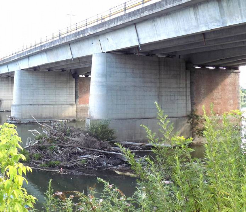 Quintali di legna ammassata sotto il ponte stradale del Po e sotto quello della ferrovia: a chi spetta la pulizia?