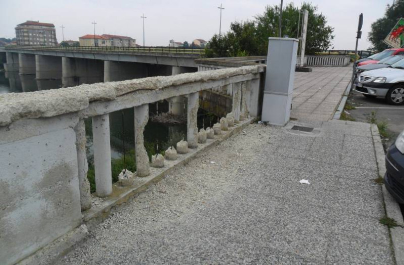 Guardie Ambientali: «Mettiamo in sicurezza il lungo Po di Casale Monferrato!»