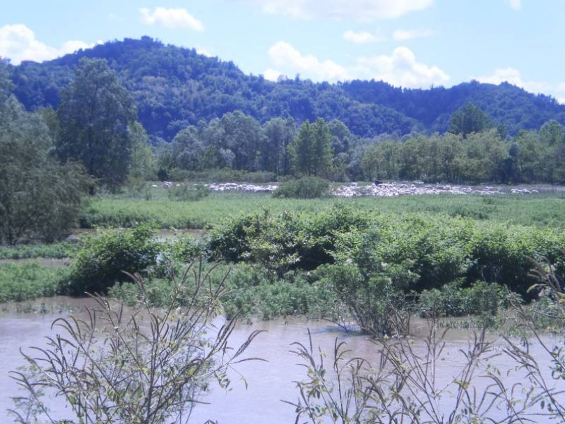 Trovata morta in campagna anziana ospite della Casa di riposo