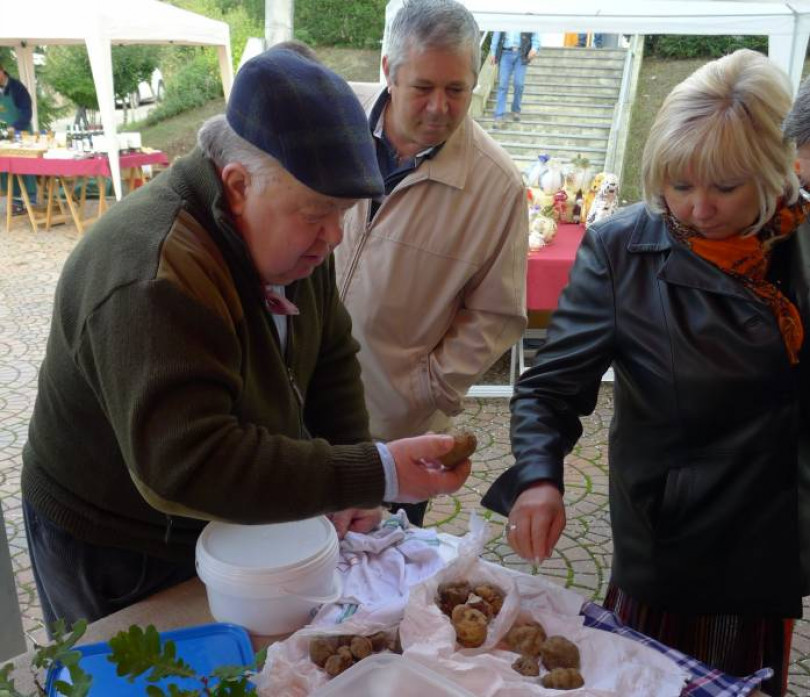 Tufo&Tartufo e festival dei vini, mercatini dell'antiquariato e Doc Monferrato