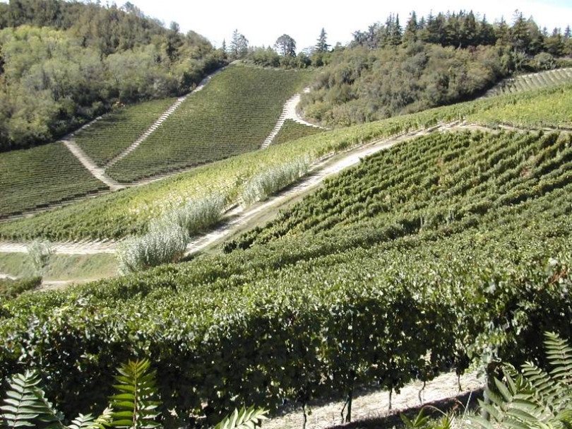 La sinergia dei sindaci e il patrimonio Unesco