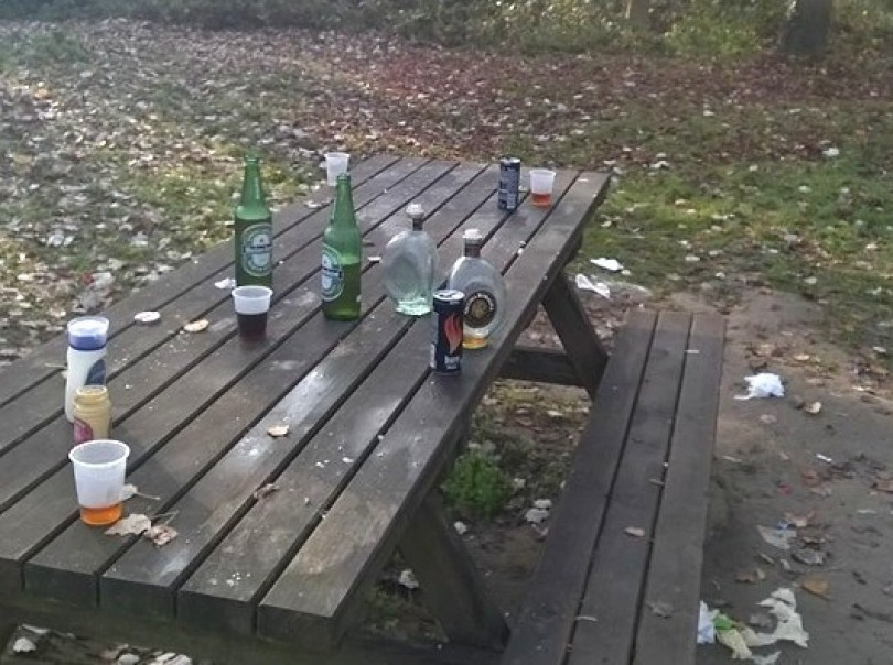 «Qualcuno deve fare qualcosa per fermare chi sta devastando l’area del Bosco della Pastrona»