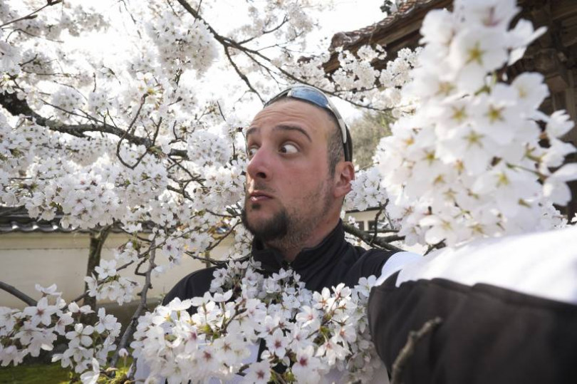 Nicola immerso nei ciliegi pedala verso Kyoto: il monferrino è a metà del giro del Giappone